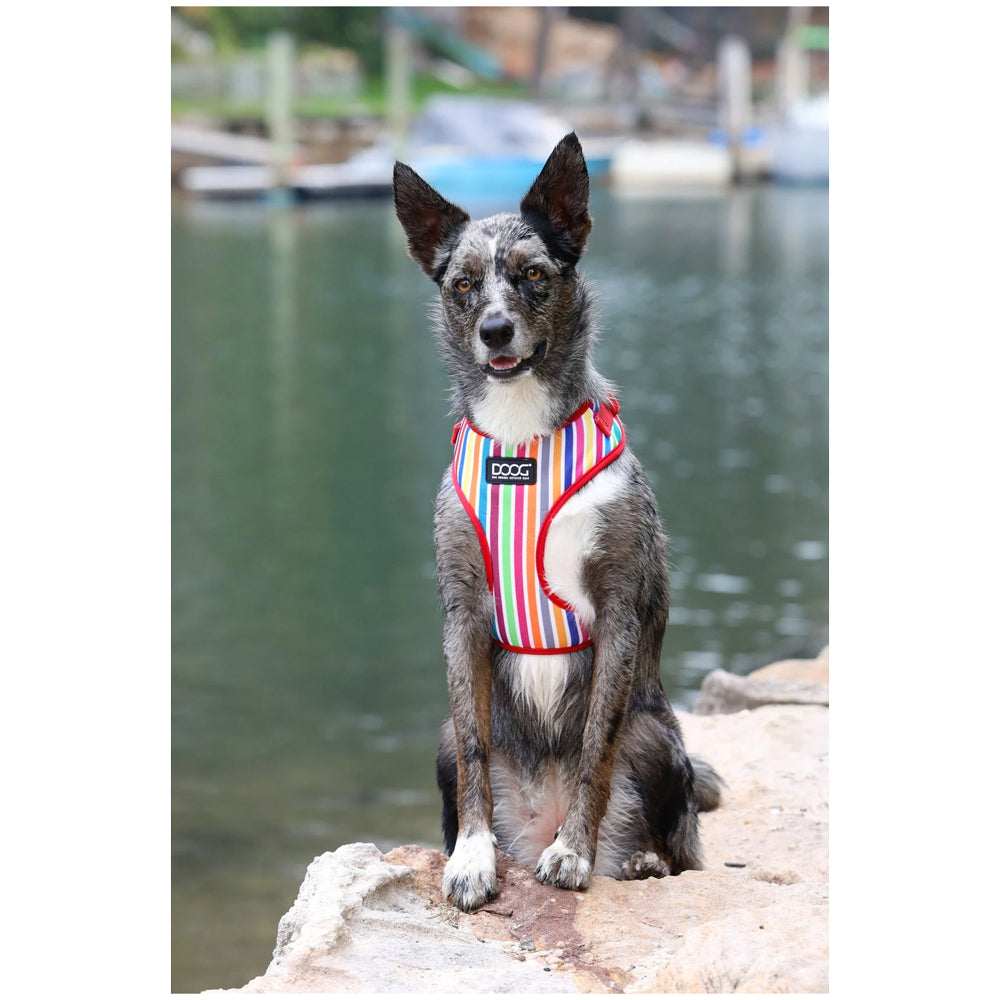 DOOG Neoflex Soft Harness - Assorted Patterns