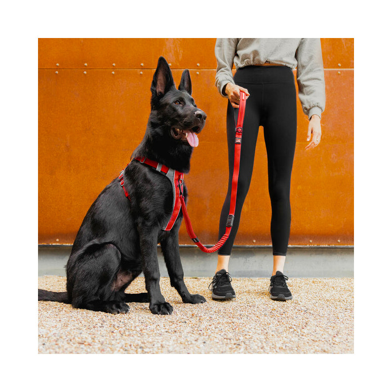 EzyDog X-Link Front Clip Dog Harness