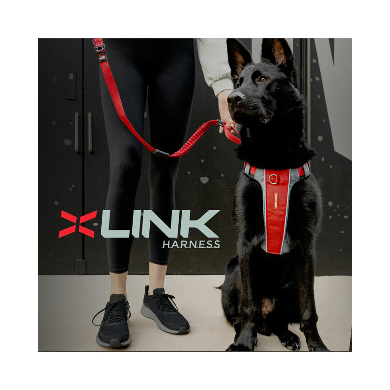 EzyDog X-Link Front Clip Dog Harness