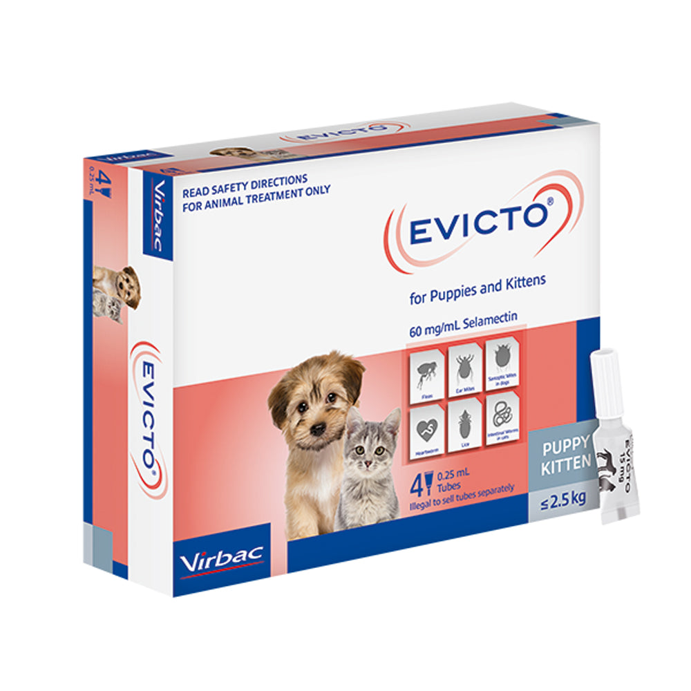 EVICTO Spot-on for Puppies &amp; Kittens Up to 2.5kg 4&#39;s