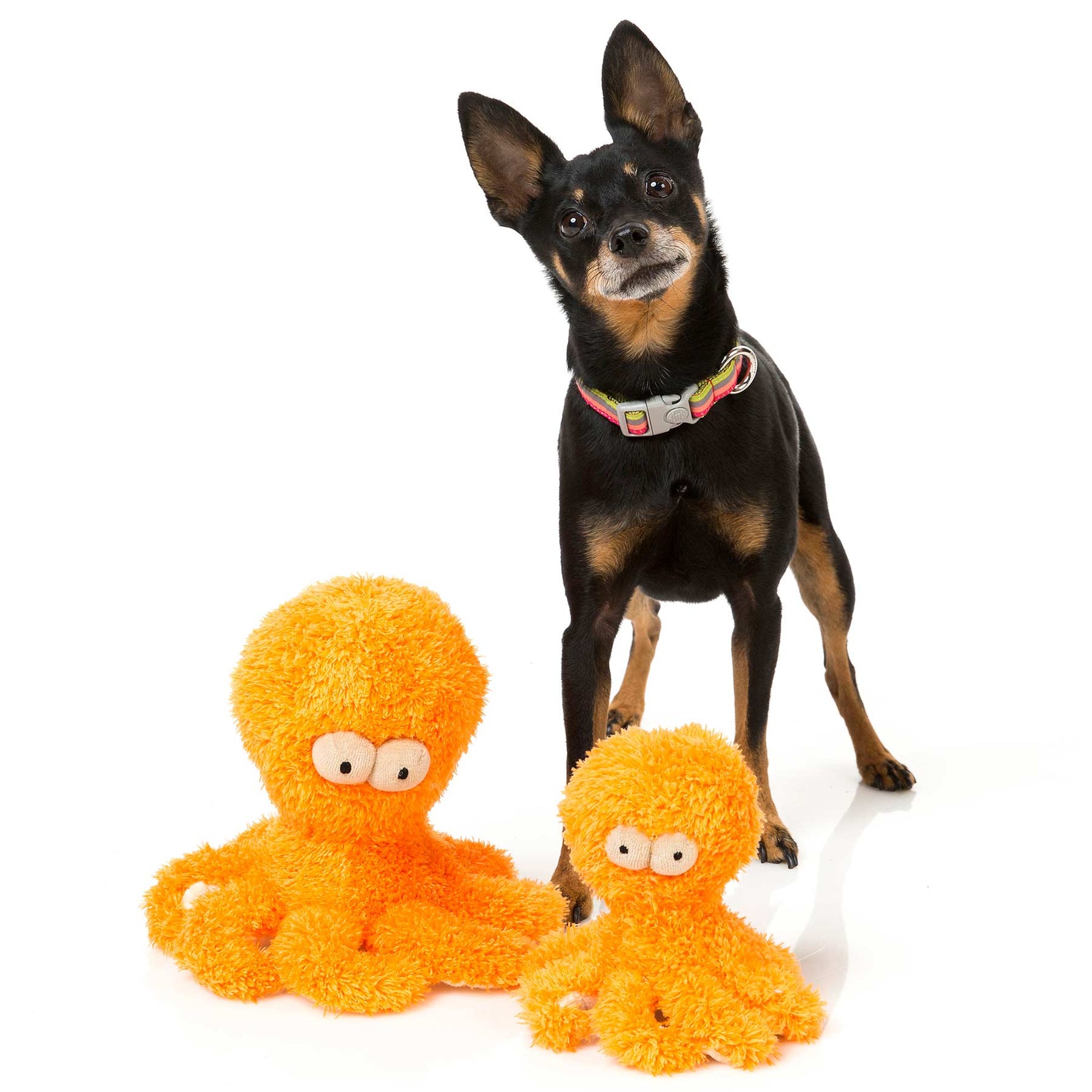 FuzzYard Legs-A-Lot the Octopus