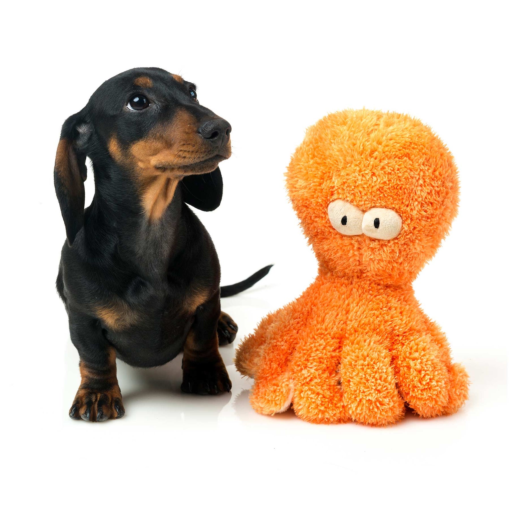 FuzzYard Legs-A-Lot the Octopus