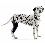 Kruuse Rehab Knee Brace Protector for Dogs