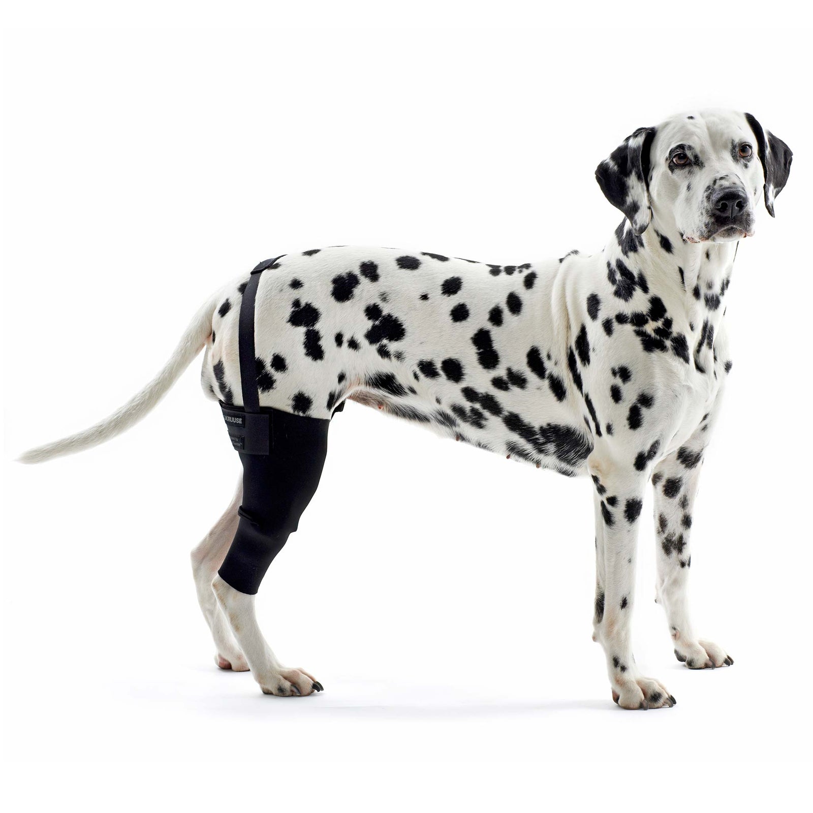 Kruuse Rehab Knee Brace Protector for Dogs
