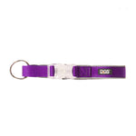 DGS Comet LED Safety Collar