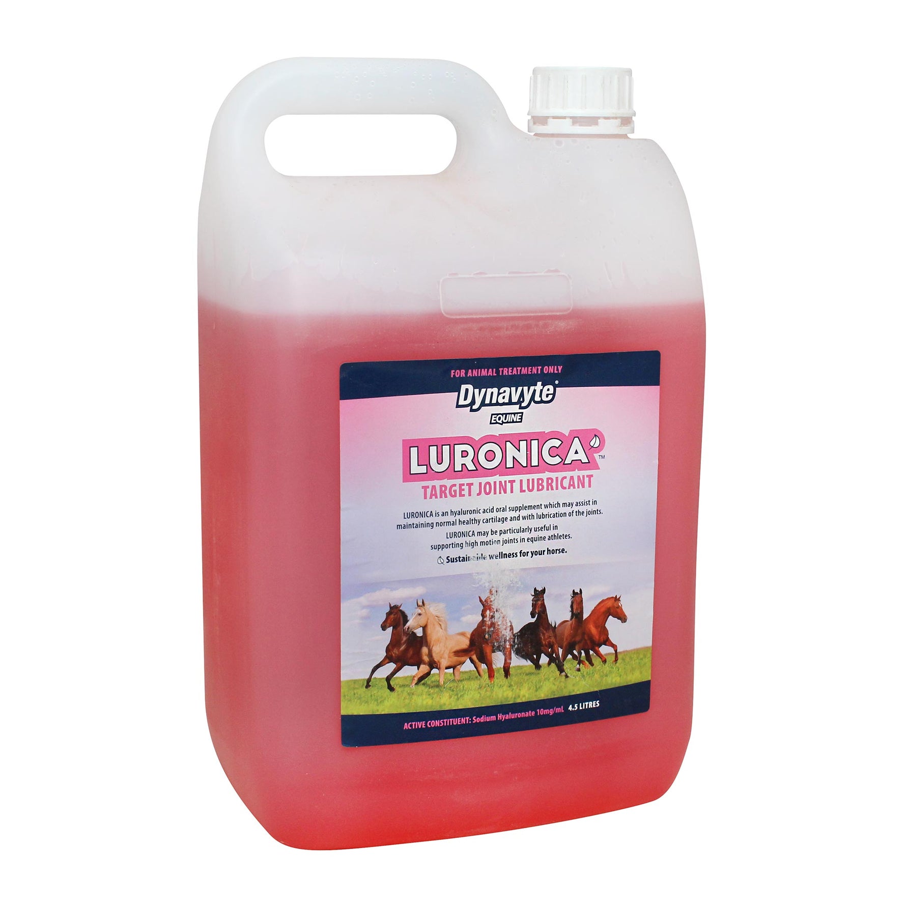 Dynavyte Luronica Joint Support for Equine Athletes