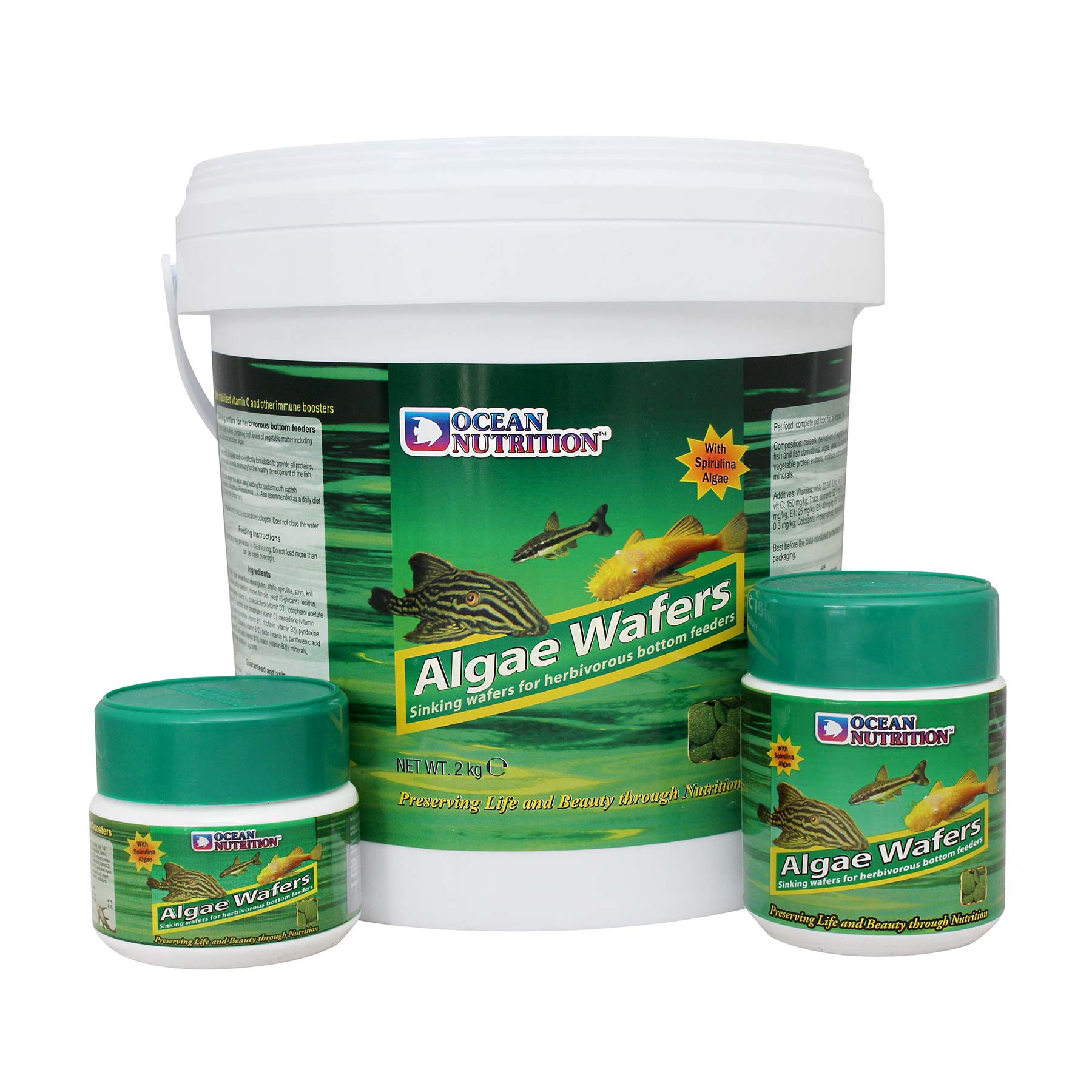 Hikari Mini algae wafers 85 gram | Voeding siervissen Hikari Mini algae wafers 85 gram | Voeding siervissen