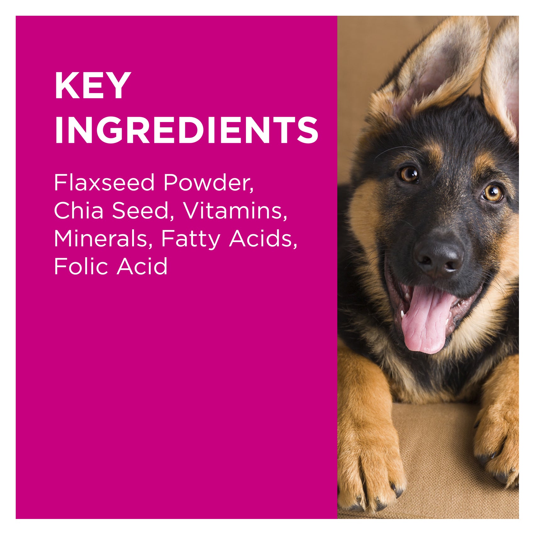 PAW Coat, Skin & Nails Multivitamin Chews 300g