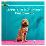 PAW Coat, Skin & Nails Multivitamin Chews 300g