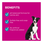 PAW Conditioning & Grooming Spray for Dogs 200mL