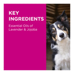 PAW Conditioning & Grooming Spray for Dogs 200mL