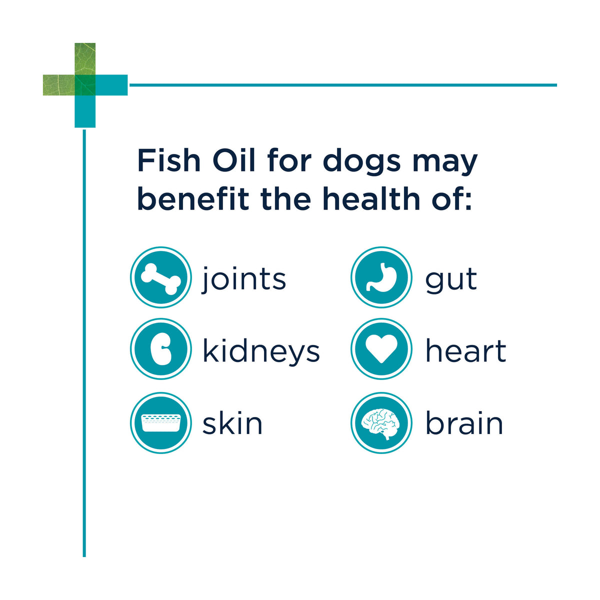 PAW by Blackmores Fish Oil 500 for Dogs - Veterinary Strength