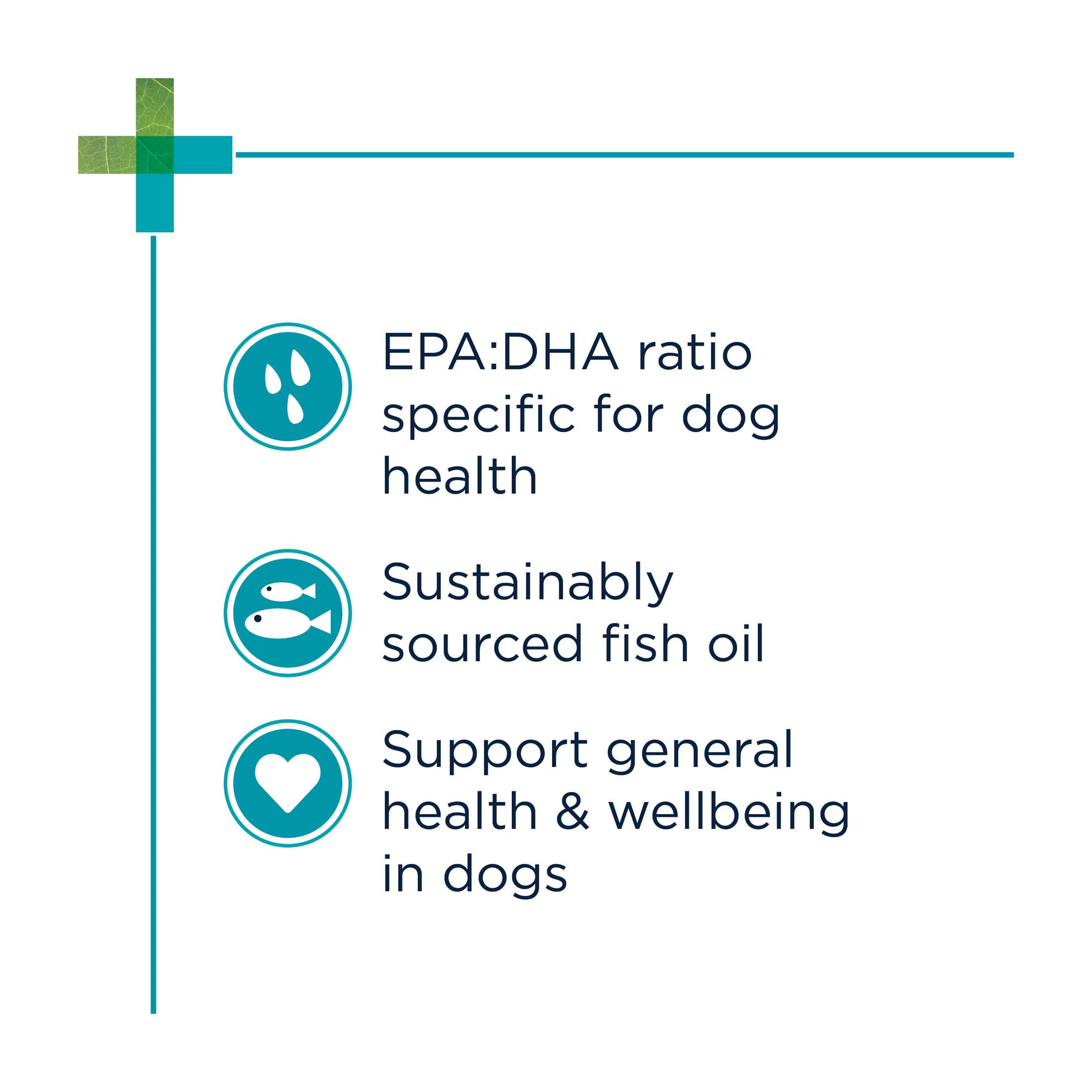 Does Fish Oil Help Dogs With Fleas