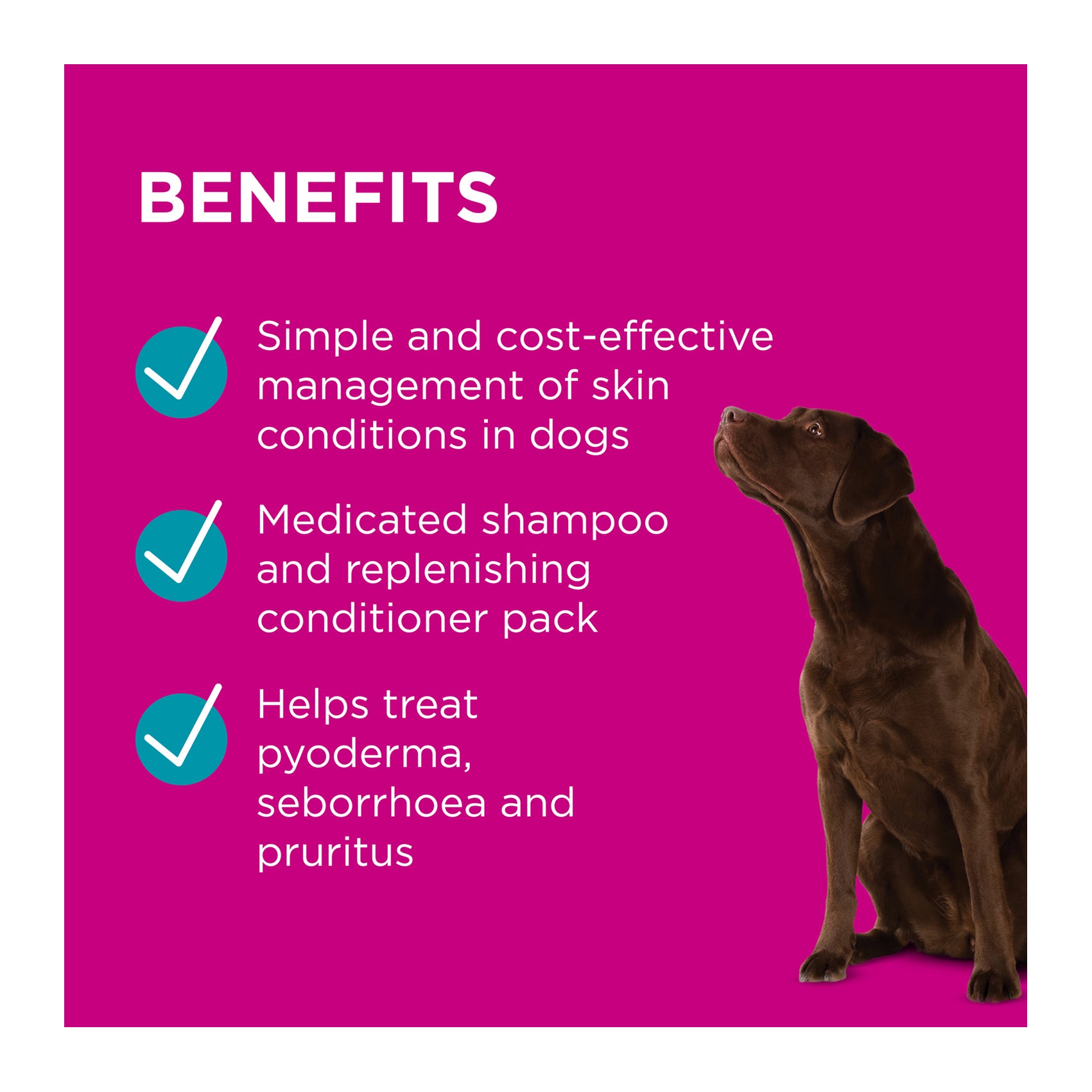 PAW MediDerm/NutriDerm Infected Skin Shampoo & Conditioner Duo Pack