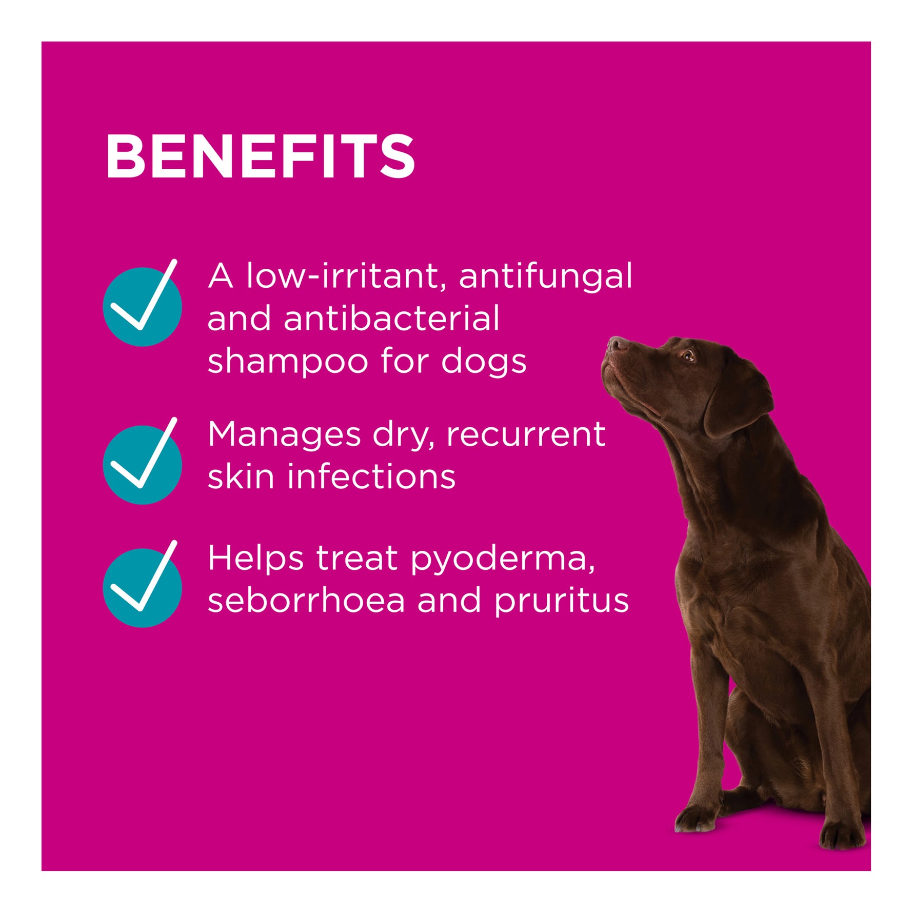 PAW MediDerm Gentle Medicated Shampoo for Dogs