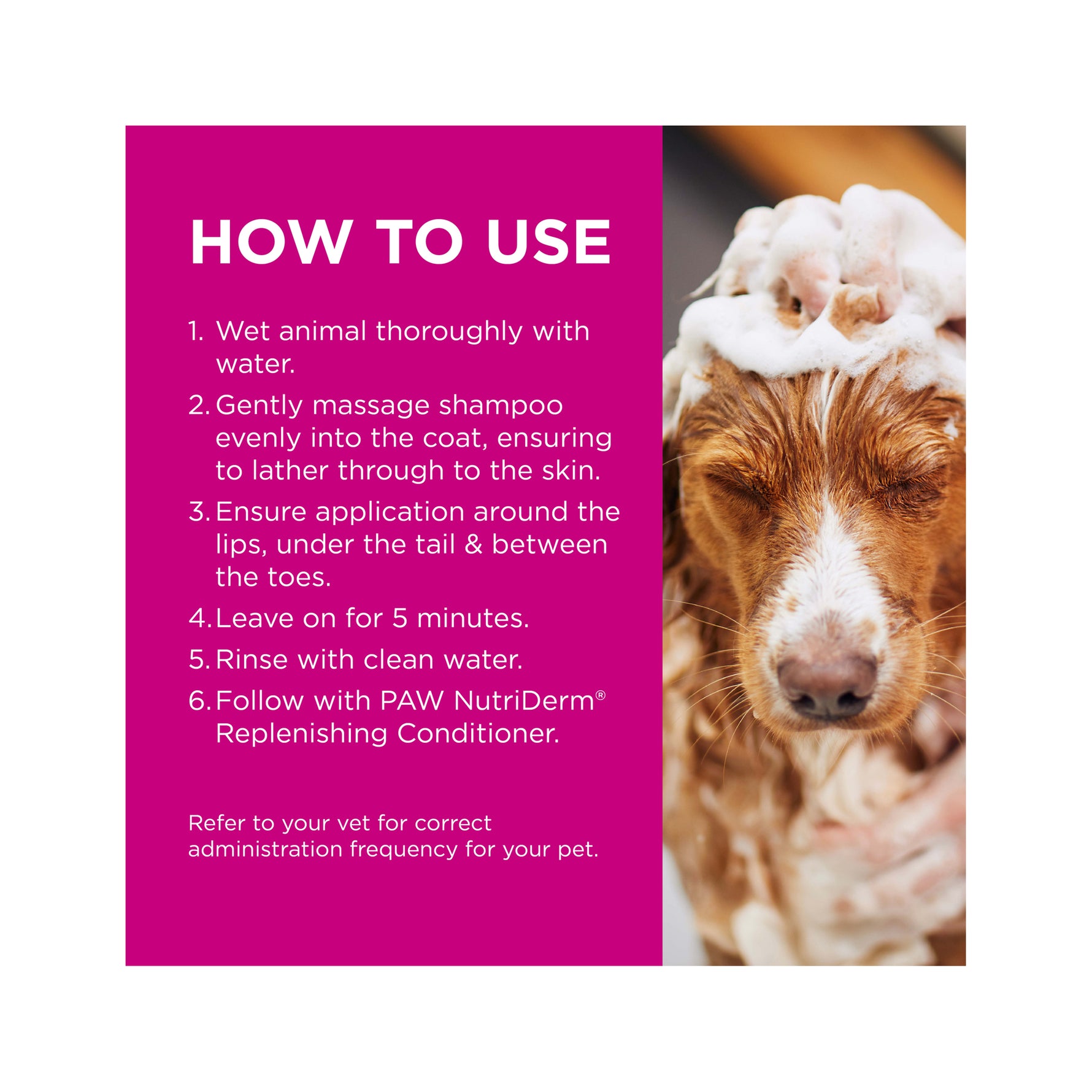 PAW MediDerm Gentle Medicated Shampoo for Dogs