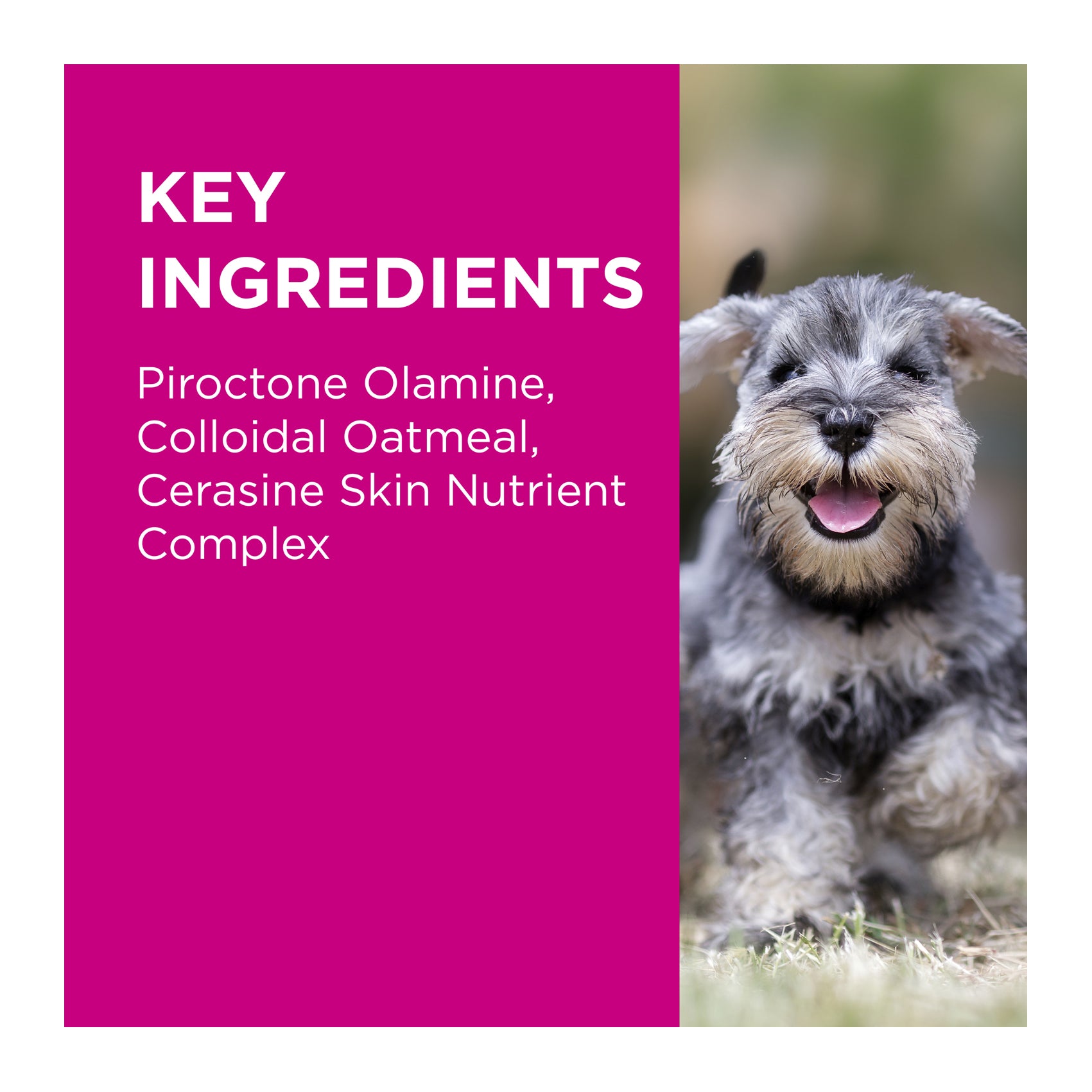 PAW MediDerm/NutriDerm Infected Skin Shampoo & Conditioner Duo Pack