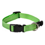 Rogz Utility Classic Dog Collar