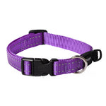Rogz Utility Classic Dog Collar