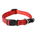 Rogz Utility Classic Dog Collar