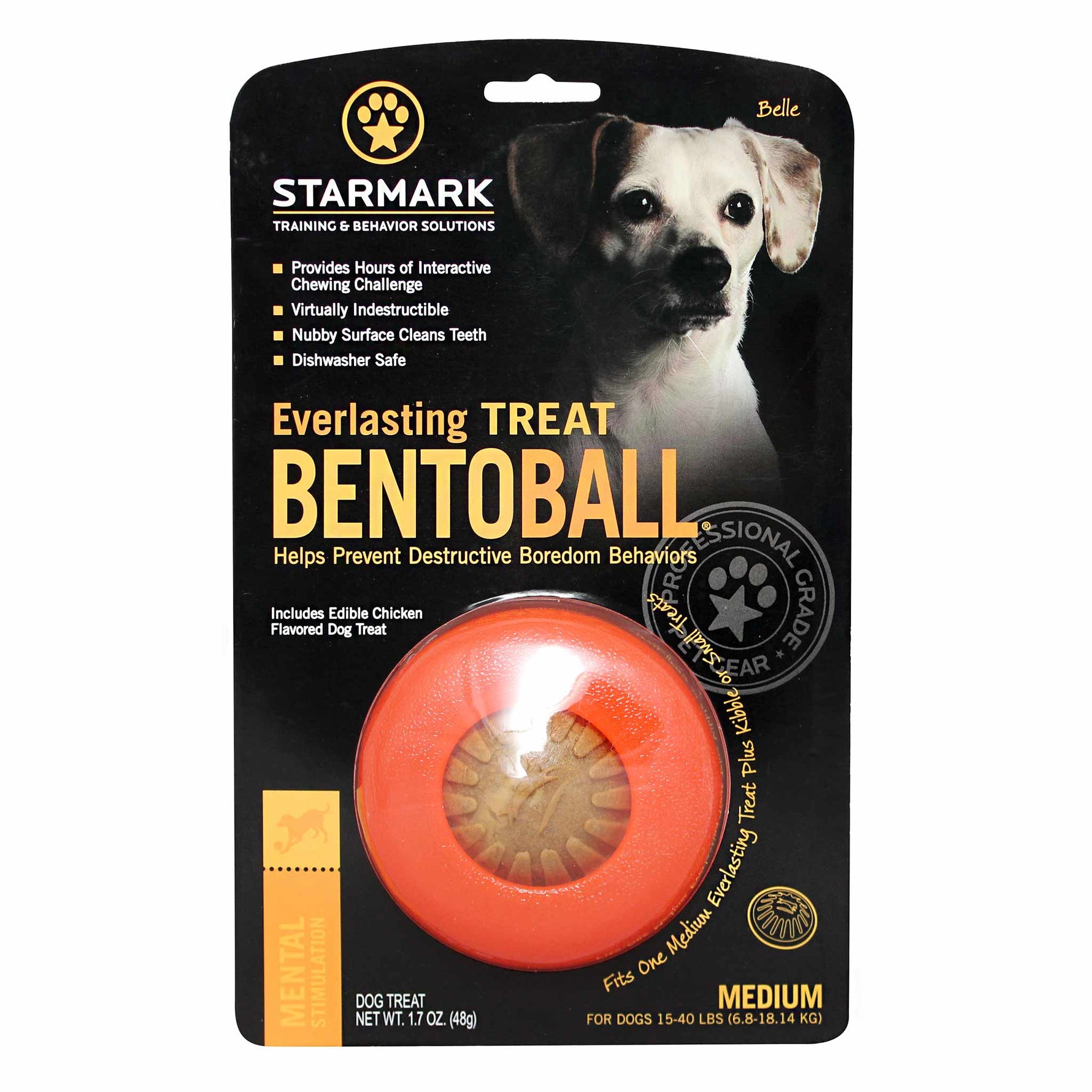 Starmark Everlasting TREAT Bento Ball