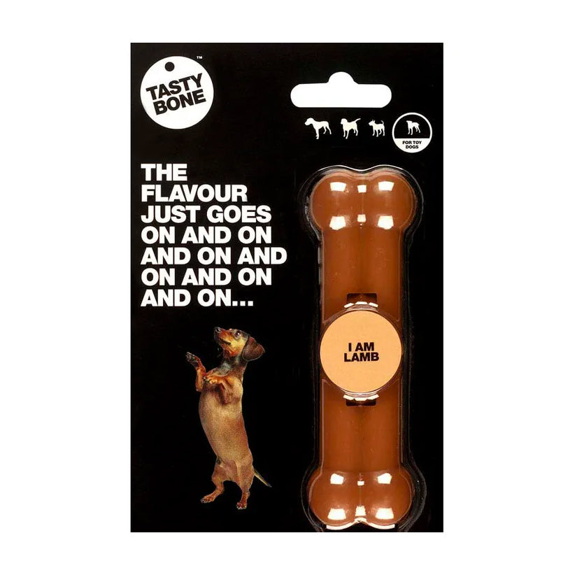 TastyBone Flavoured Nylon Bone