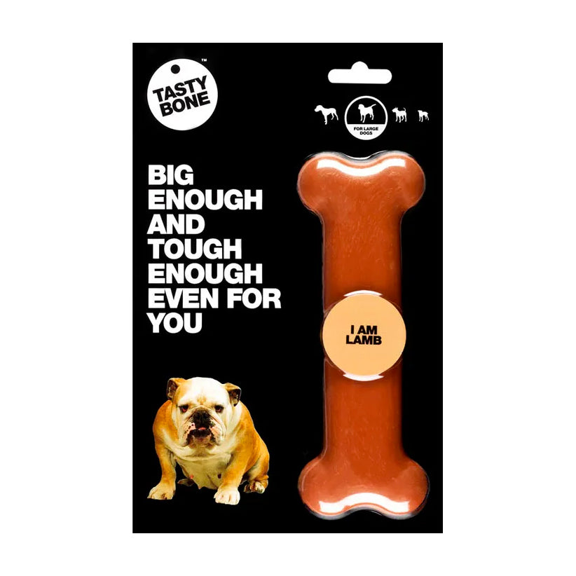 TastyBone Flavoured Nylon Bone