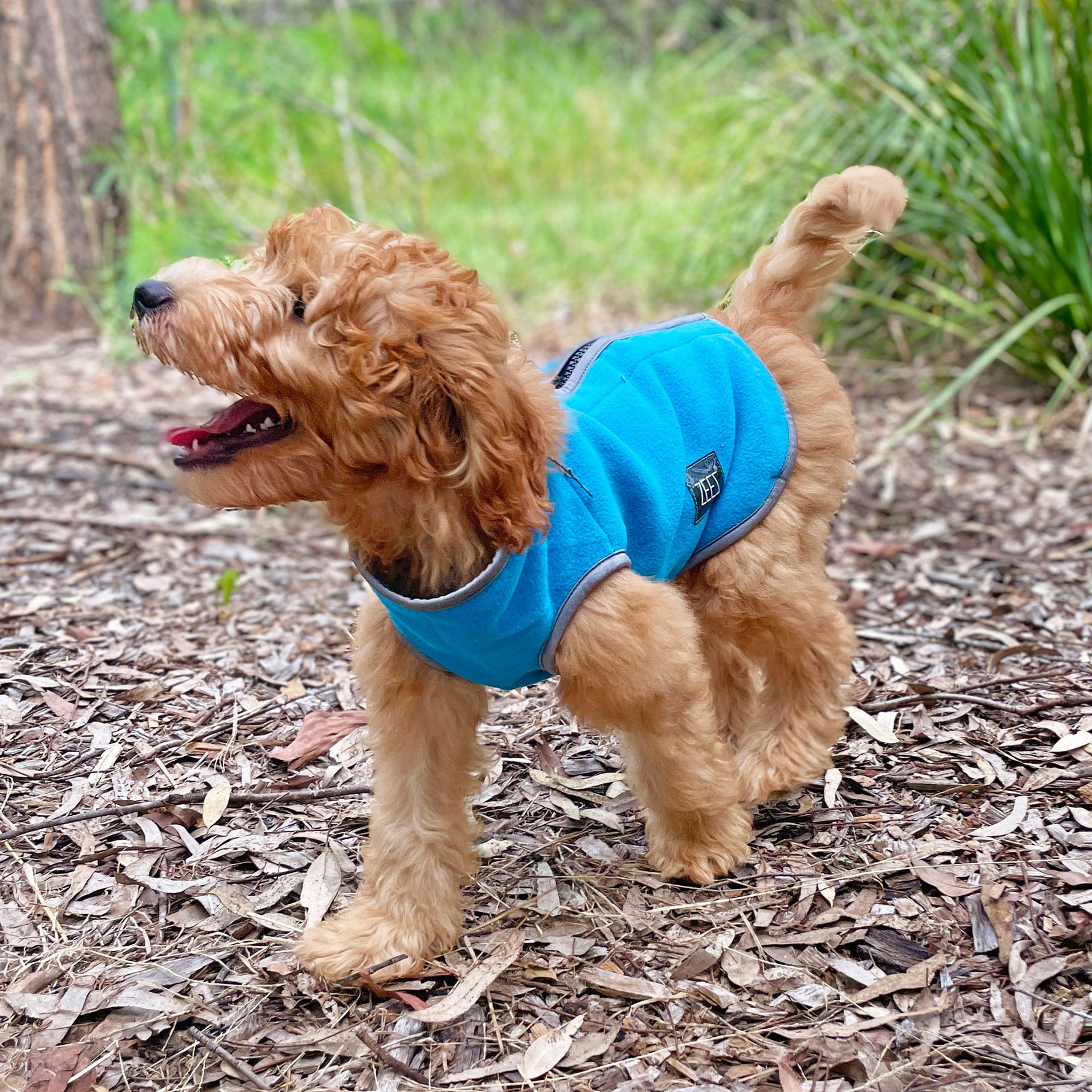 ZeeZ Cozy Fleece Dog Vest - Arctic Blue