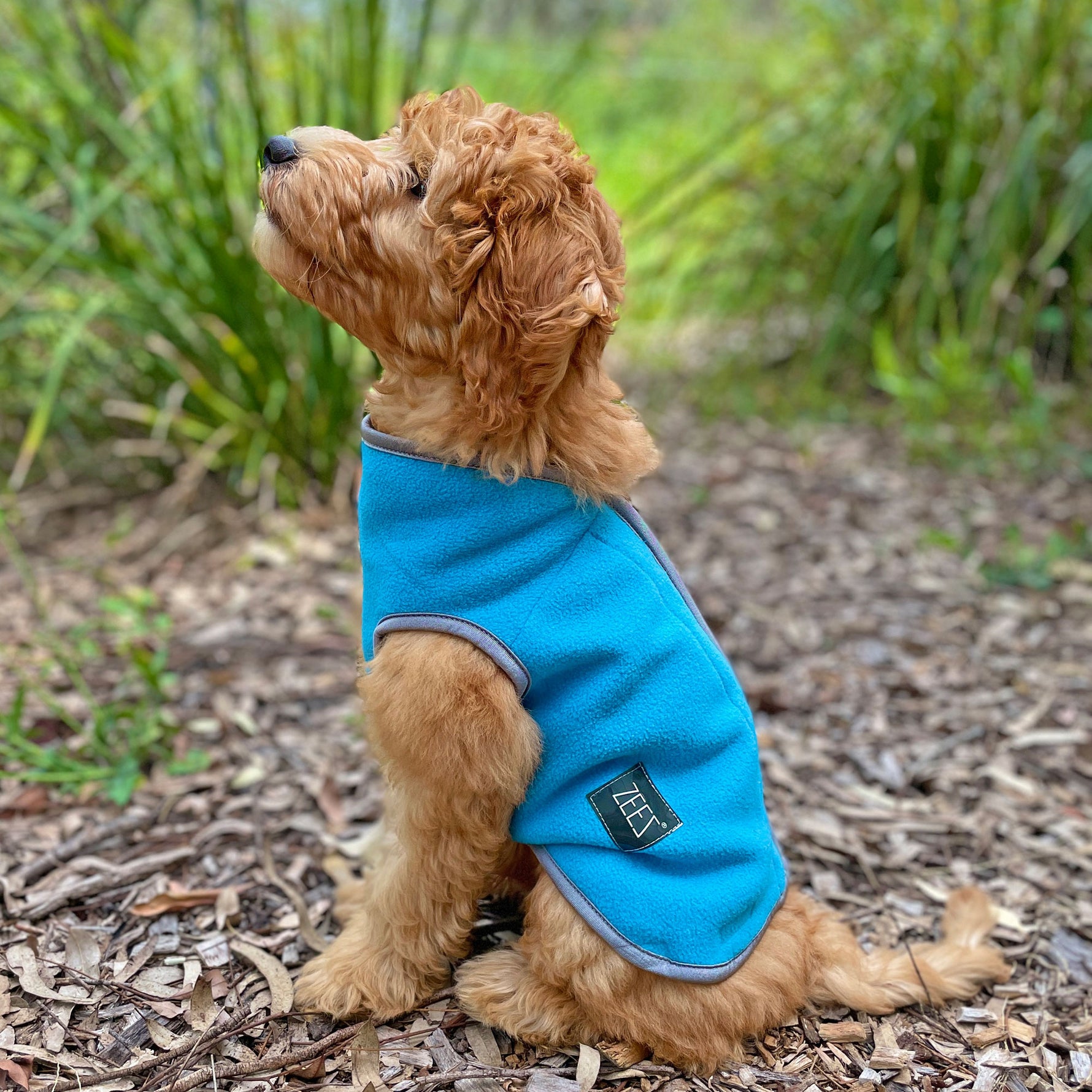 ZeeZ Cozy Fleece Dog Vest - Arctic Blue