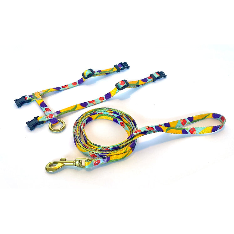 AniPal Recycled Plastic Cat Harness &amp; Lead