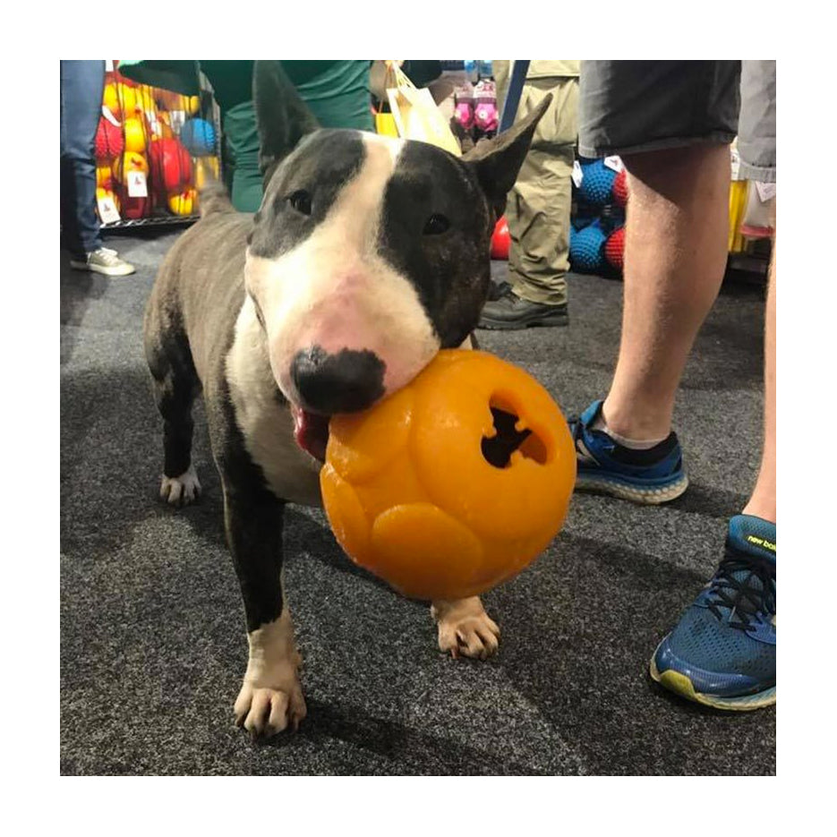 Aussie Dog Buddy Ball Interactive Food Dispensing Dog Toy