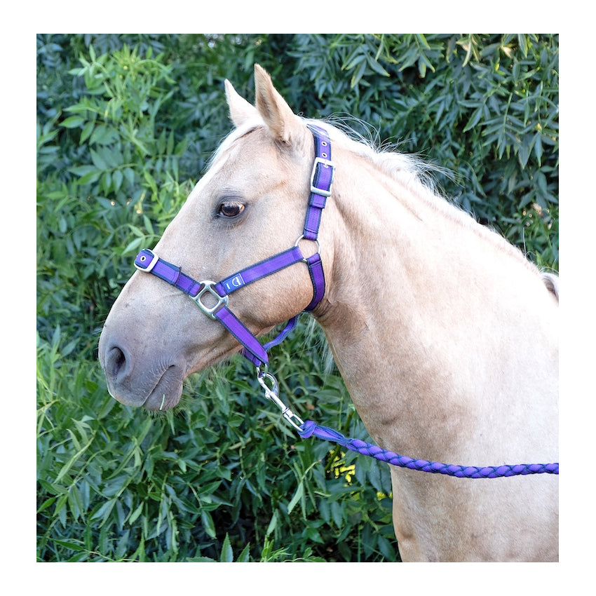 AniPal Recycled Plastic Comfort Halter &amp; Lead Set for Horses