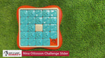 Nina Ottosson Challenge Slider Dog Treat Puzzle