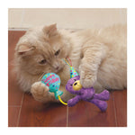 KONG Cat Occasions Birthday Teddy