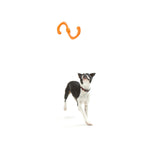West Paw Zogoflex Bumi Tug & Fetch Dog Toy