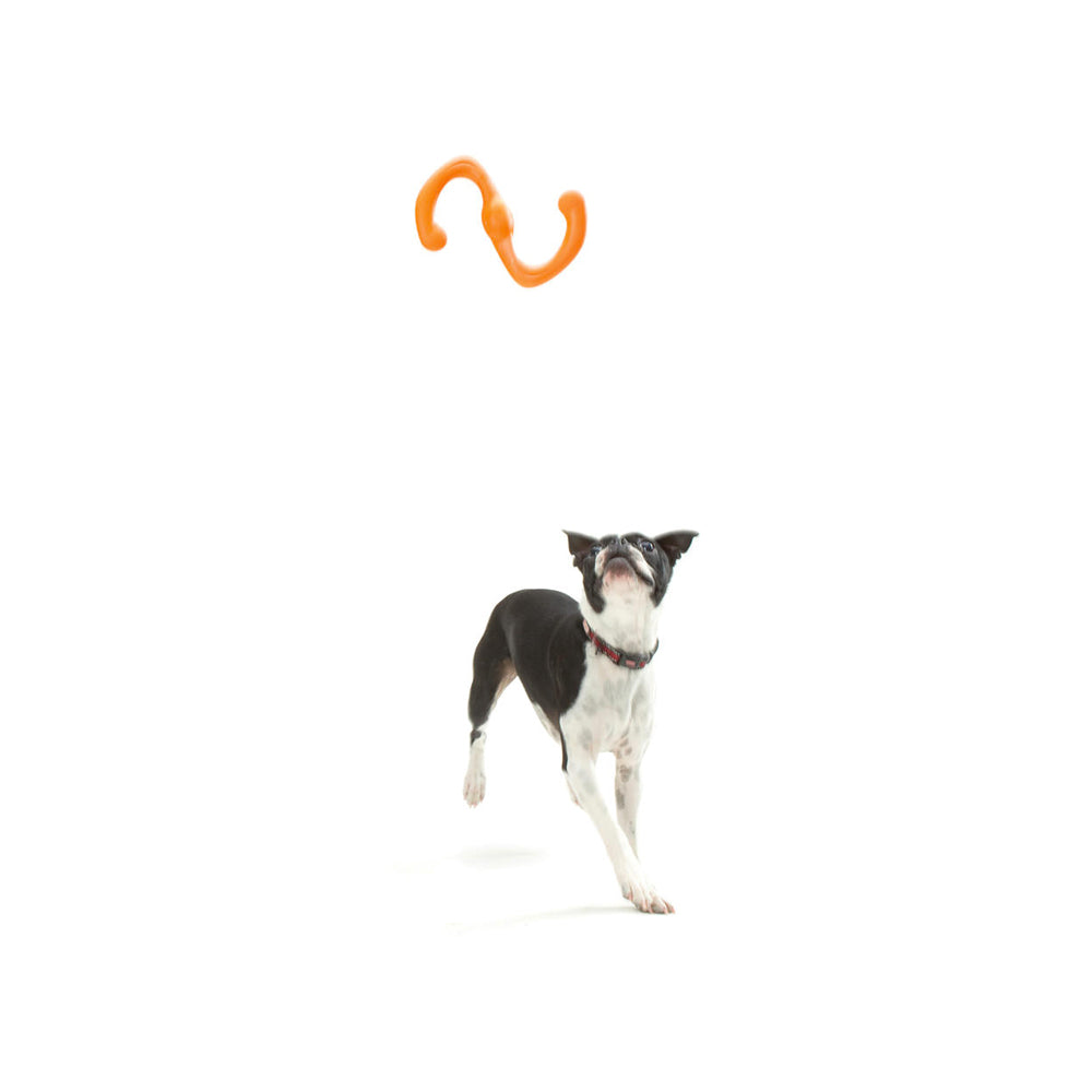 West Paw Zogoflex Bumi Tug & Fetch Dog Toy