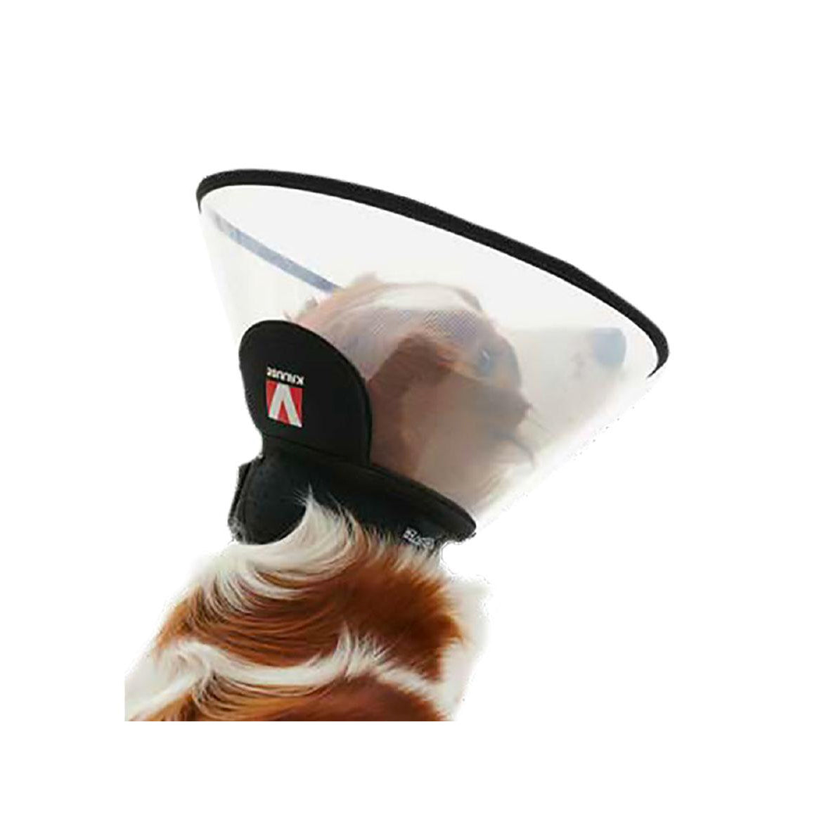 Buster Complete Elizabethan Collar