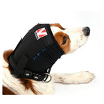 Buster Ear Covers