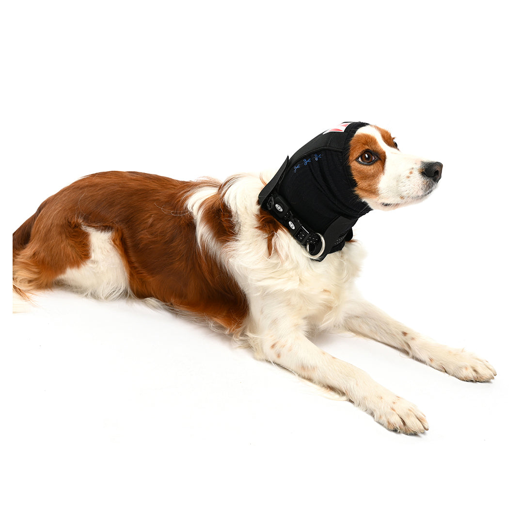 Buster Ear Covers