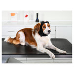 Buster Ear Covers