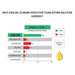 CEN Oil for Horses 4.5L