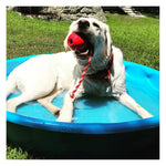USA-K9 Cherry Bomb Chew & Tug Toy