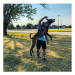 USA-K9 Cherry Bomb Chew & Tug Toy