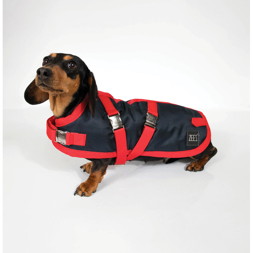 ZeeZ Supreme Dachshund Dog Coat - Navy Stone/Red
