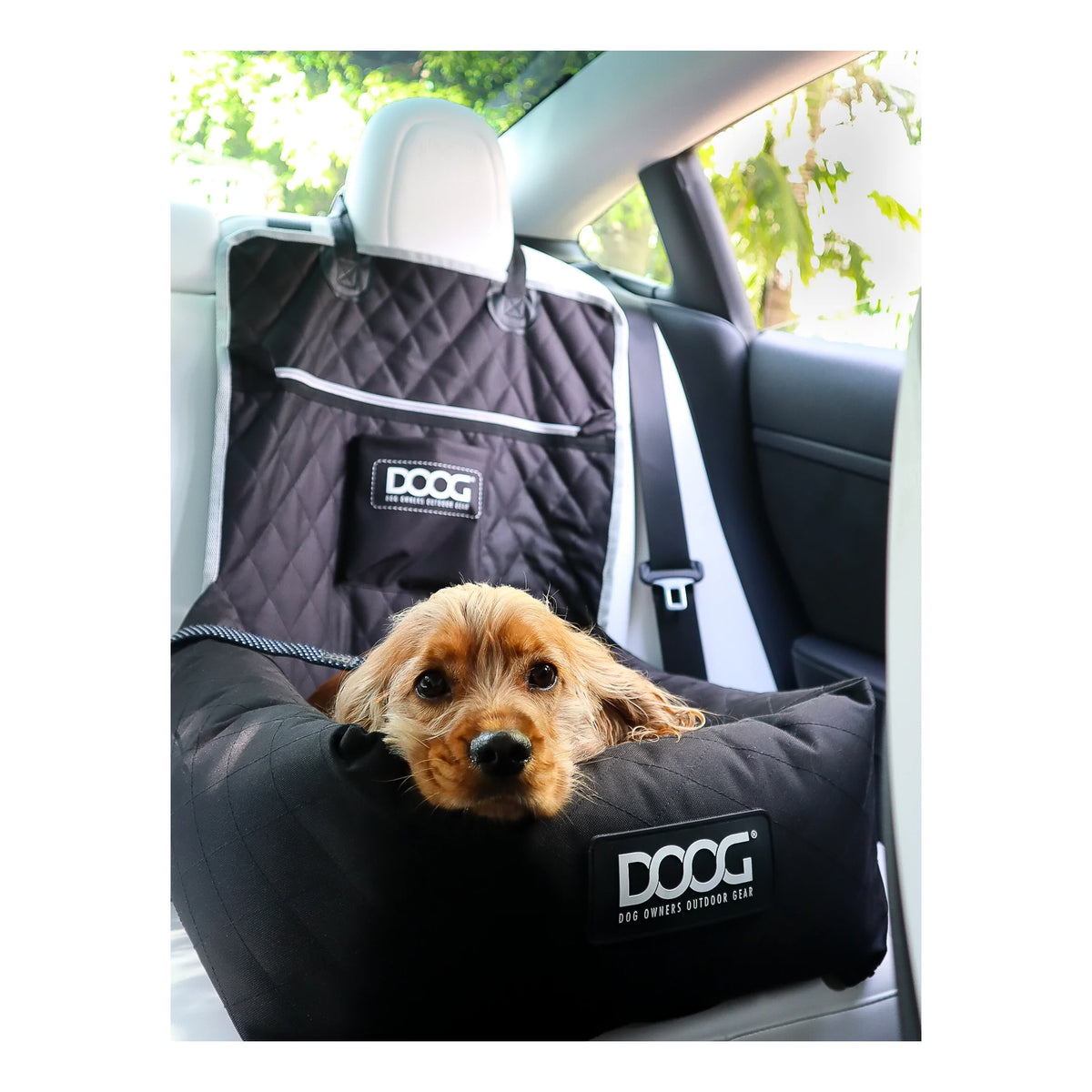 DOOG Car Seat for Small to Medium Breeds