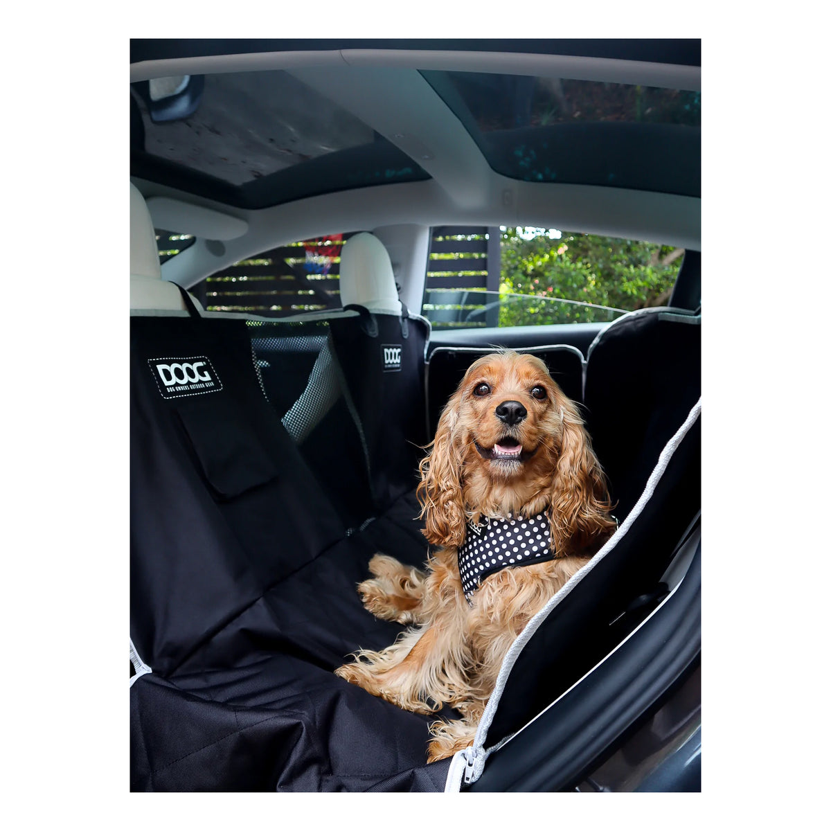 DOOG Car Seat Cover - Black