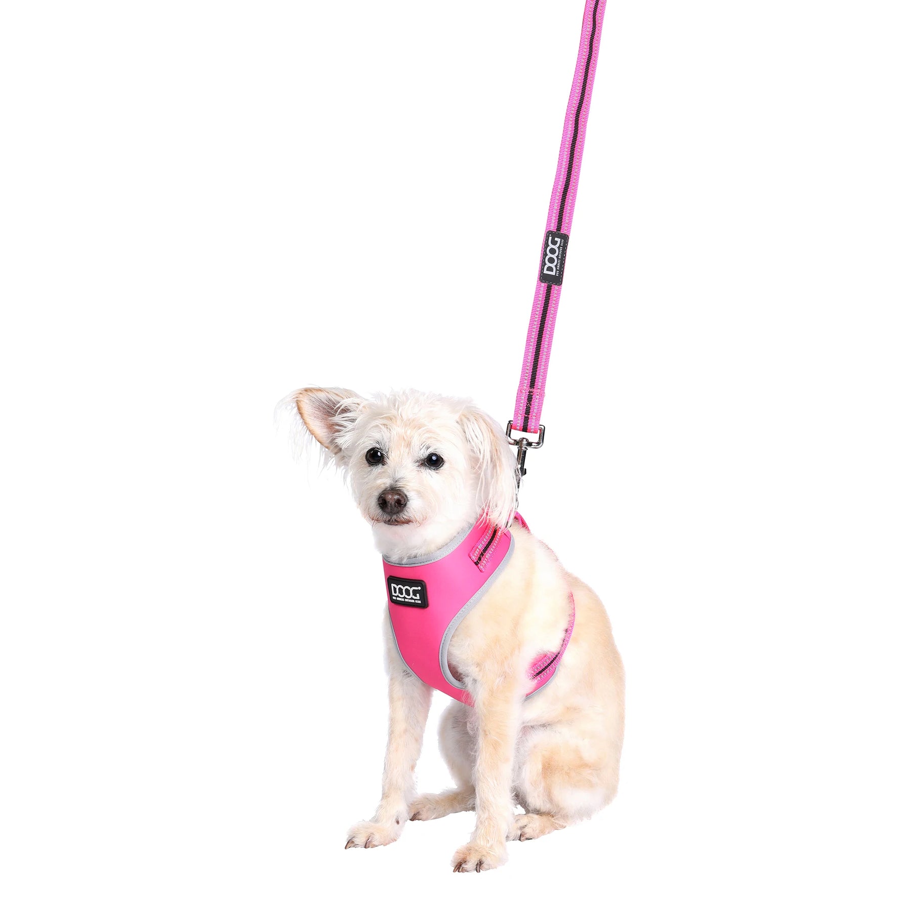 DOOG Neoflex Soft Harness - Neon