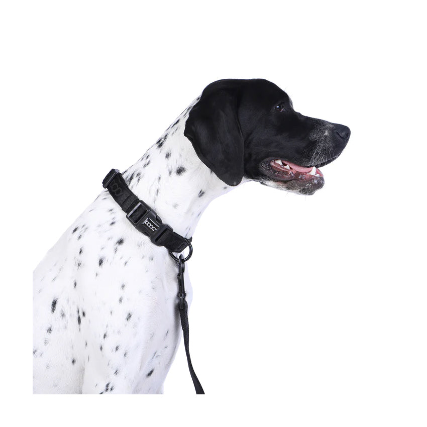 DOOG Neosport Neoprene Dog Collar