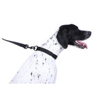 DOOG Neosport Neoprene Dog Collar