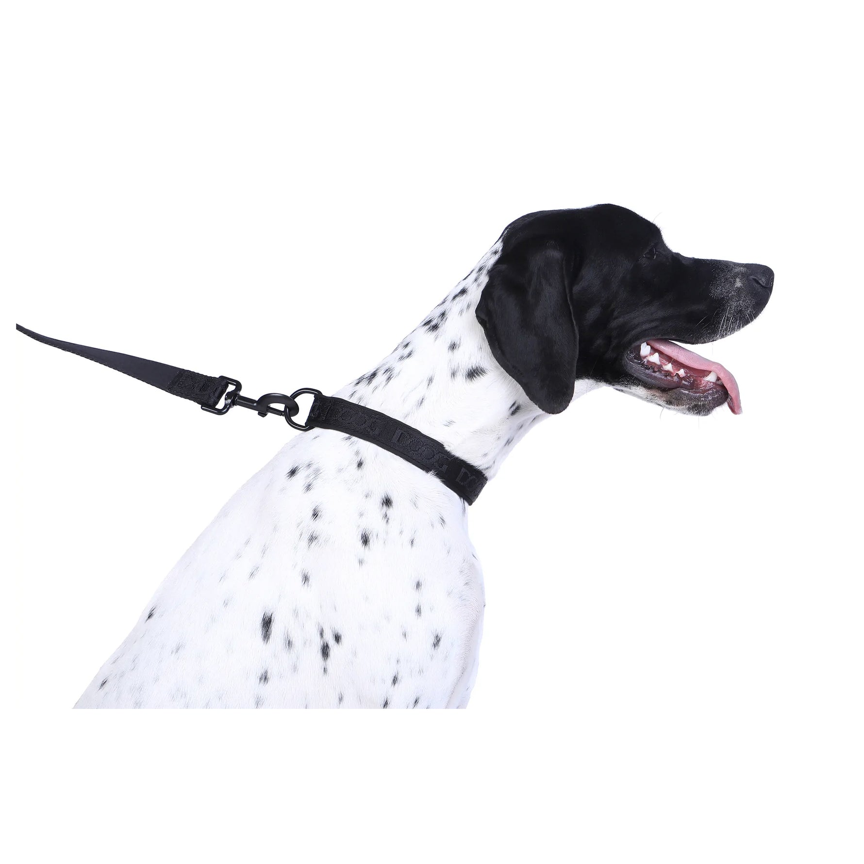 DOOG Neosport Neoprene Dog Collar